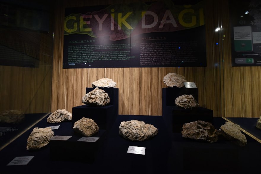 -“fosil-tas-mineral”-sergisi-003.jpg