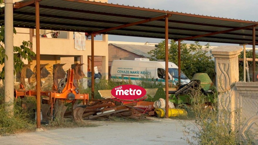 53b890fa-c530-4aa1-aab3-d009939c6dbe.jpg