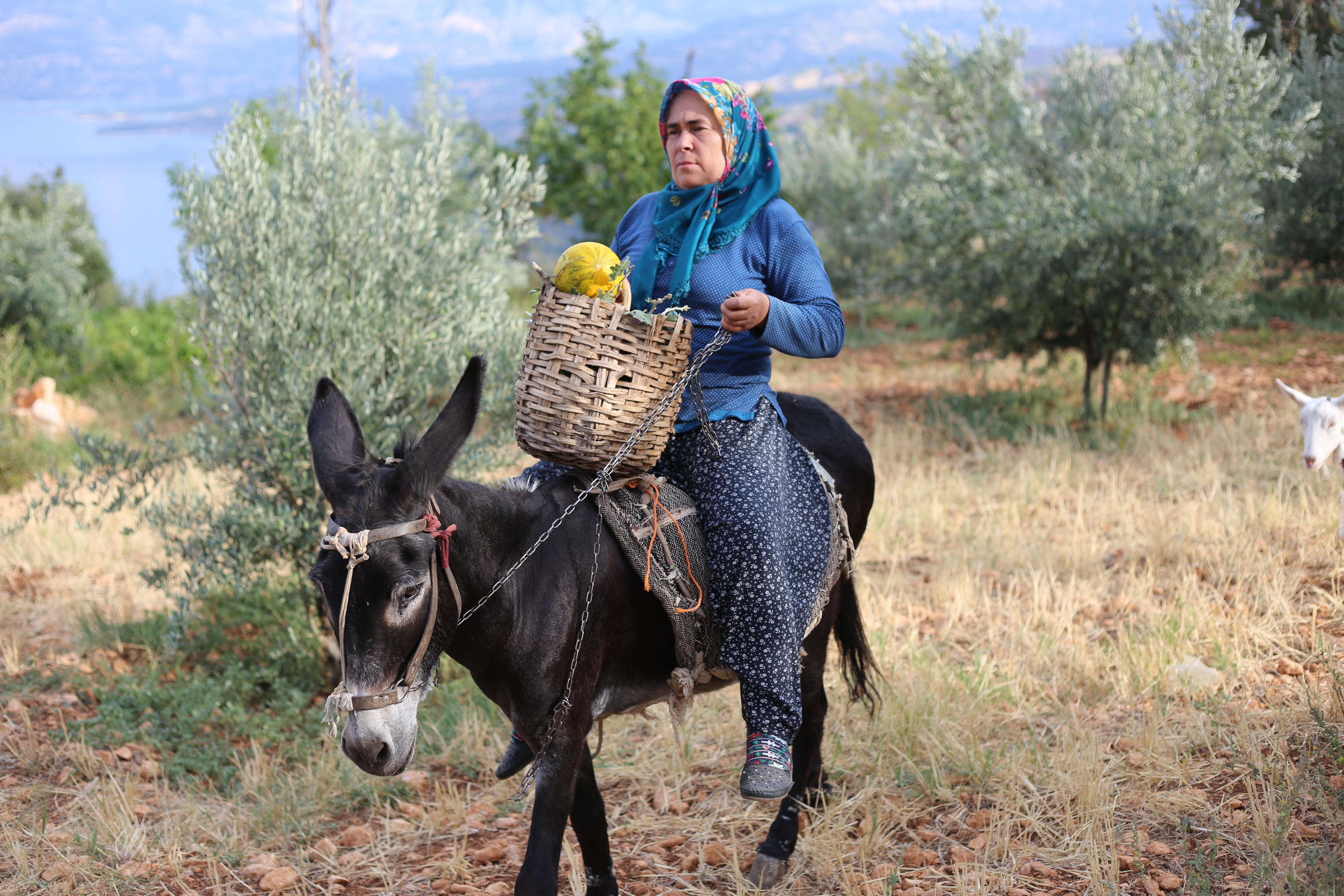 anadolu-kadini.JPG