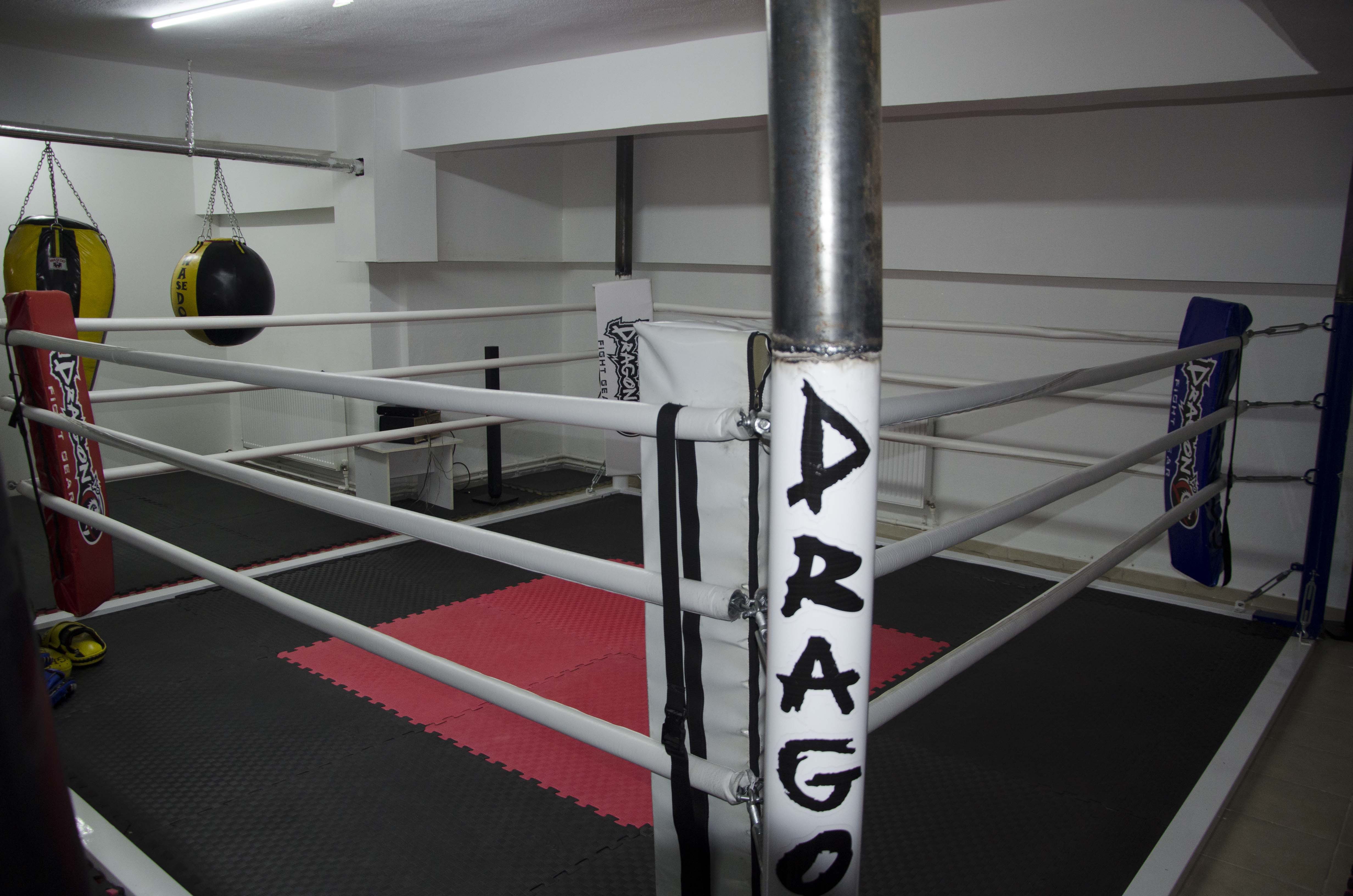 dsc_3528-copy.jpg
