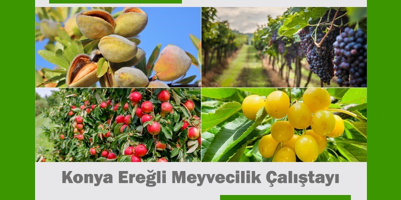 eregli-meyvecilik-calistayi.jpg