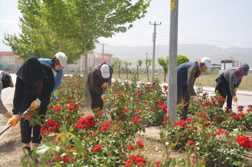 ereglide-orta-refujlerin-yesil-dokusu-korunuyor-001.jpg