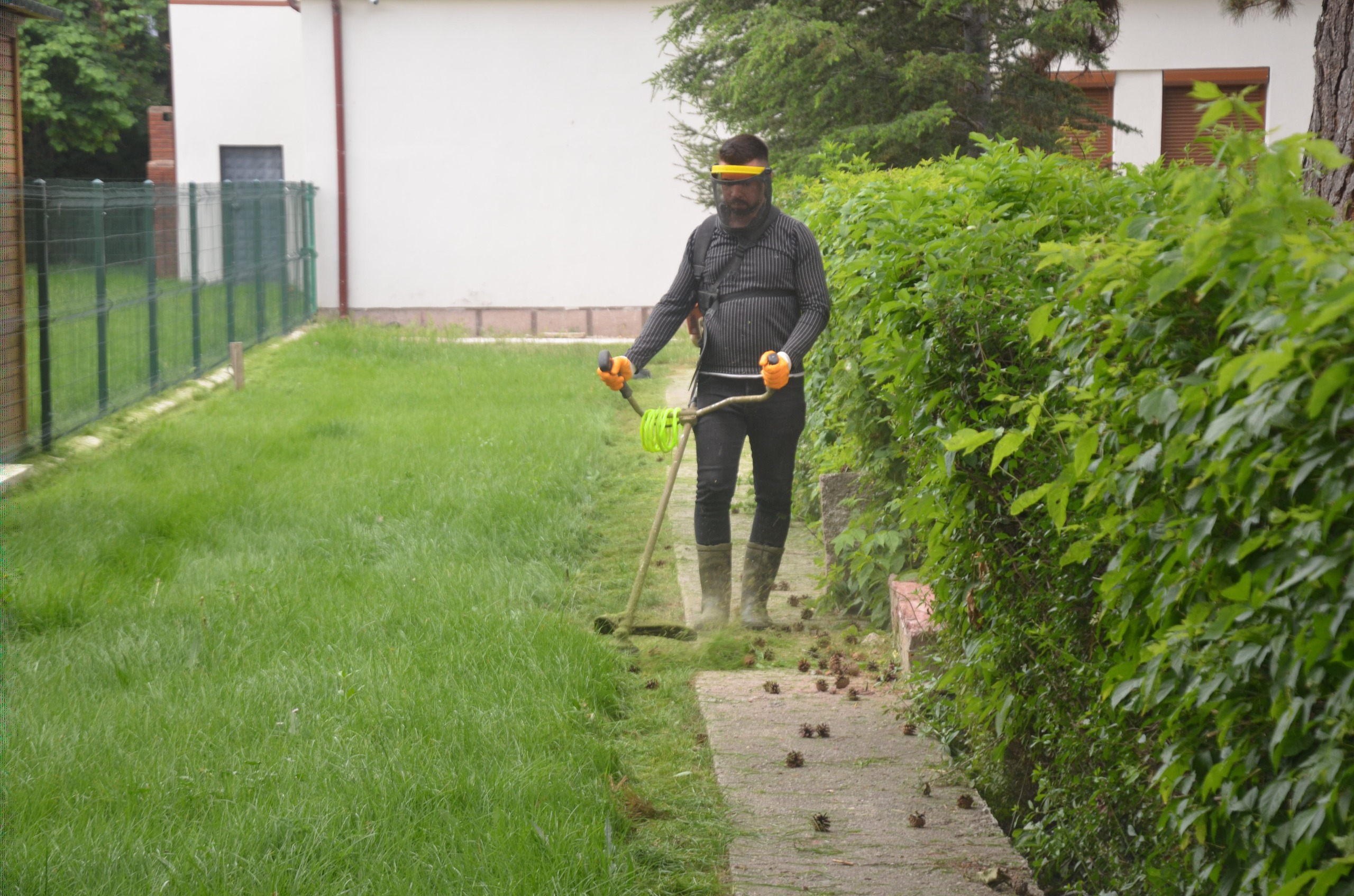 ereglide-orta-refujlerin-yesil-dokusu-korunuyor-003.jpg