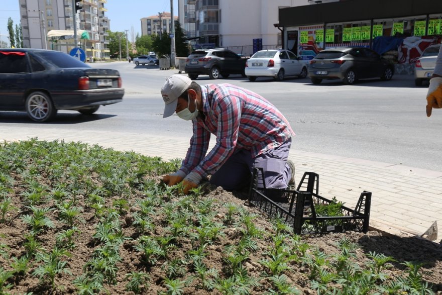 ereglide-refujlerde-ciceklendirme-calismalari-yapiliyor-001.jpg