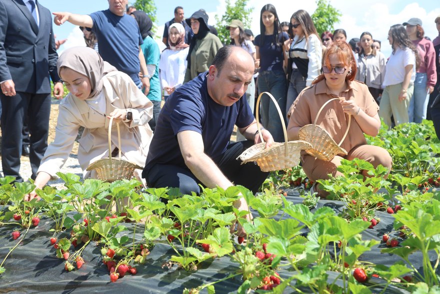 fidan-ve-fide-destegi.jpg
