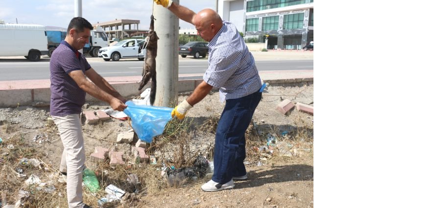 gelinciği öldürüp direğe astılar