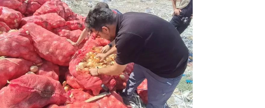 kuru-sogan.jpg