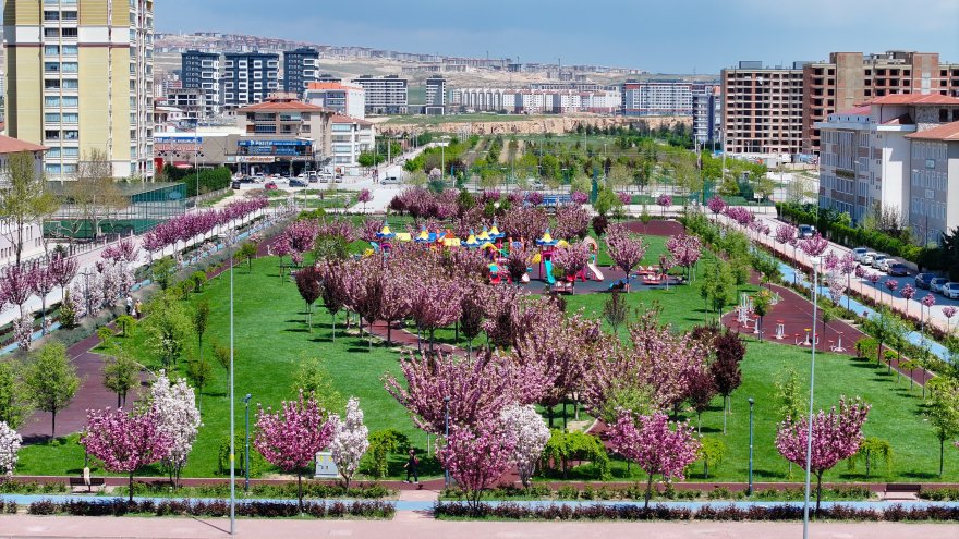 sakuralar-icin-japonyaya-gitmenize-gerek-yok-konyada-sakura-mevsimi-basladi-001.jpg